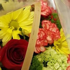 Meet your Posher, Darlene